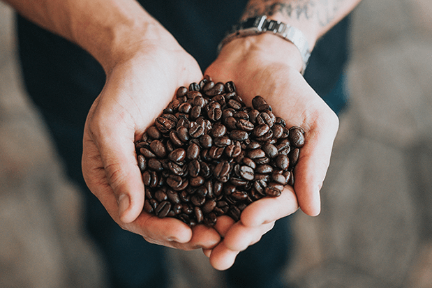 Coffee Beans Uae